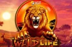 Играть в Wild Life Slot